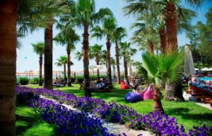 otium-hotel-life2