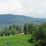 отдых в карпатах